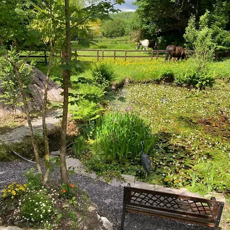 Apartment Selfcatering Currahy Bridge